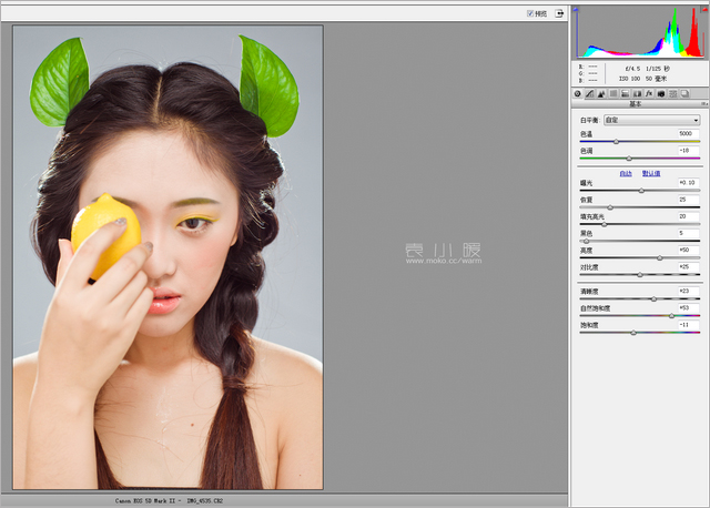 在Photoshop中打造水果妆面的人像图片后期3