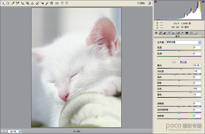 Photoshop三步子制作锐化效果的猫咪毛发2