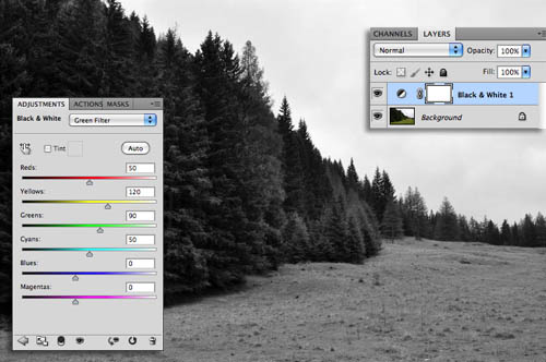 Photoshop给树林风景照片加上淡灰色迷雾4