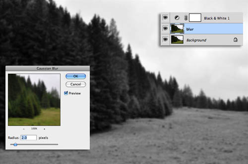 Photoshop给树林风景照片加上淡灰色迷雾5