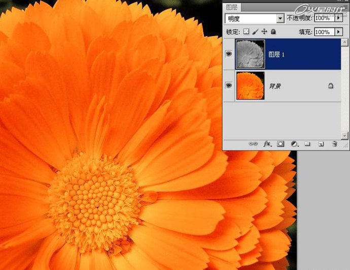 photoshop加强照片颜色层次和锐度-通道锐化法5