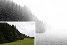 Photoshop给树林风景照片加上淡灰色迷雾1