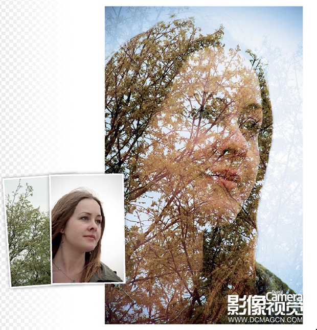 PhotoShop打造另类树枝美女头像效果教程1