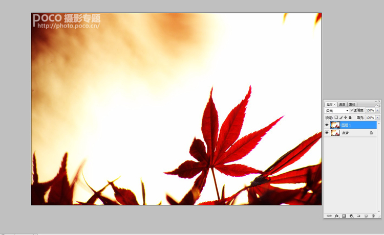 禅意唯美花卉PS技巧3