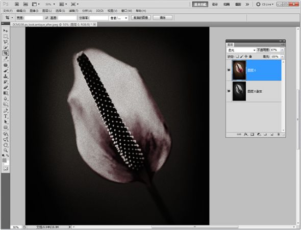 PhotoShop几步制作花卉复古怀旧照片教程3