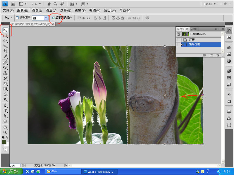 PhotoShop变换工具对摄影照片后期构图修复4