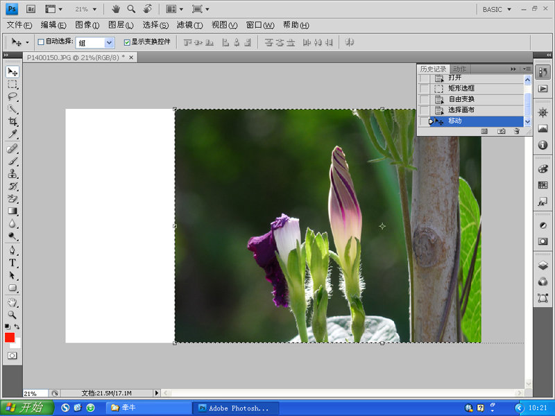 PhotoShop变换工具对摄影照片后期构图修复7