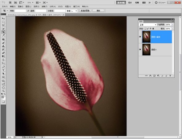PhotoShop几步制作花卉复古怀旧照片教程2
