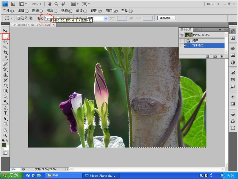 PhotoShop变换工具对摄影照片后期构图修复3