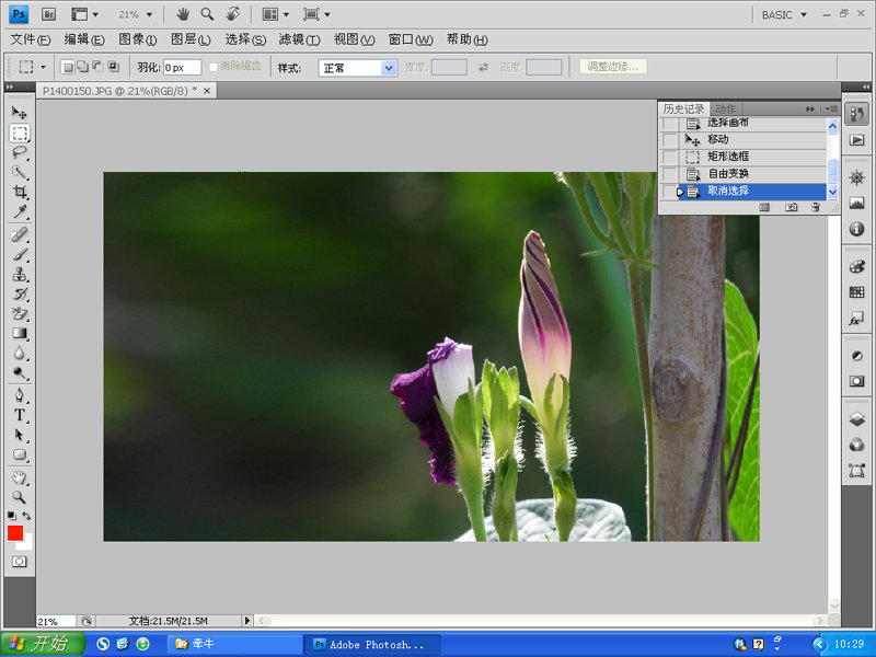 PhotoShop变换工具对摄影照片后期构图修复10