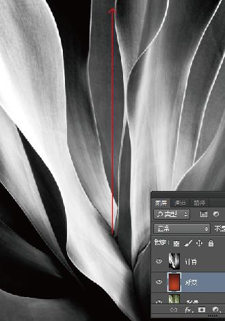 利用PhotoShop计算工具给图片调色教程9