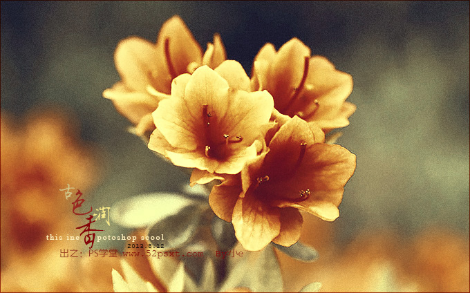 Photoshop打造古典韵味的黄褐色花卉图片2