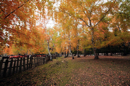 PS为秋日的风景照片调出高饱和色调教程1