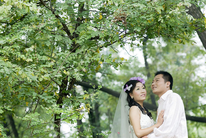 Photoshop打造温馨浪漫的暖色树林婚片2