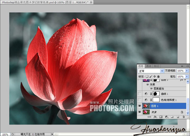 PhotoShop调出梦幻的紫色荷花图片效果教程4