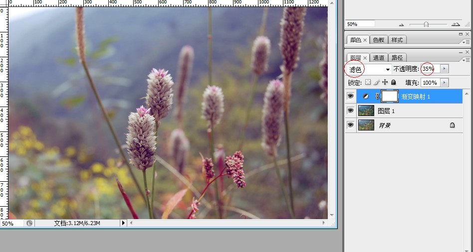 PhotoShop调出清新的植物图片效果调色教程5