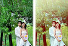 Photoshop打造甜美的青黄色树林婚片1
