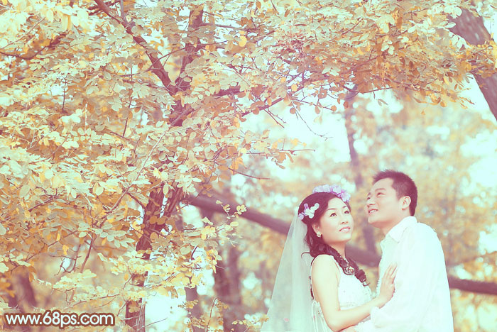 Photoshop打造清爽的淡橙色树林婚片教程3