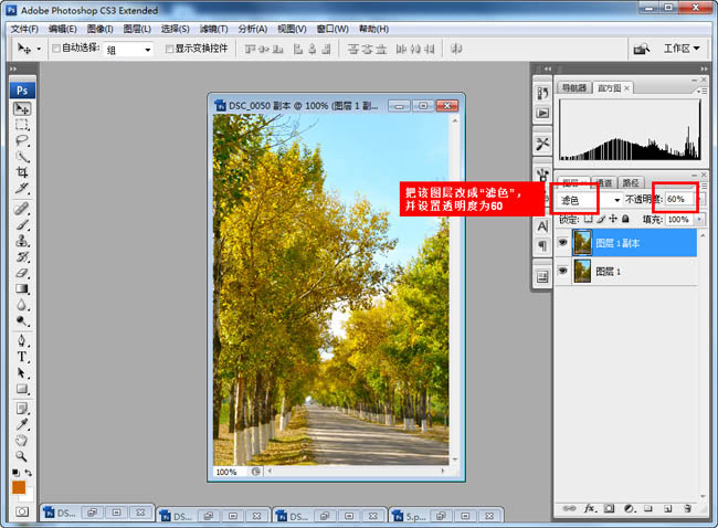 Photoshop给树林照片增加艳丽的秋季色6