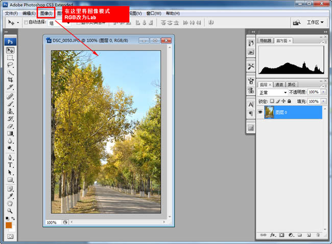 Photoshop给树林照片增加艳丽的秋季色3