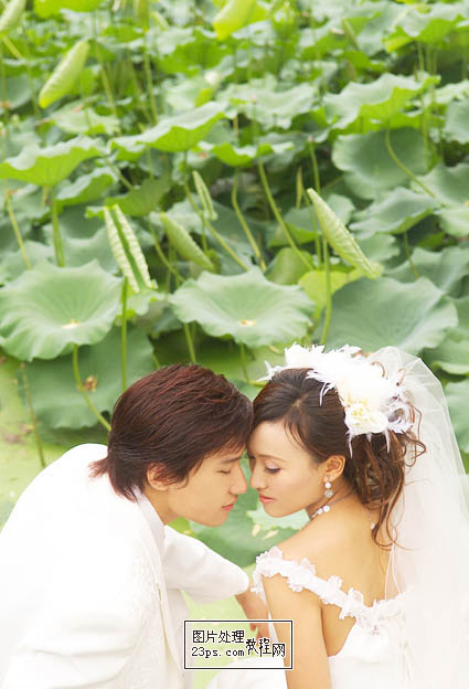 PhotoShop调整清新荷塘婚纱照教程2