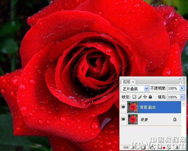 Photoshop把红色玫瑰变成金色玫瑰 PS调色教程3