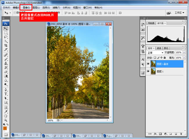 Photoshop给树林照片增加艳丽的秋季色5