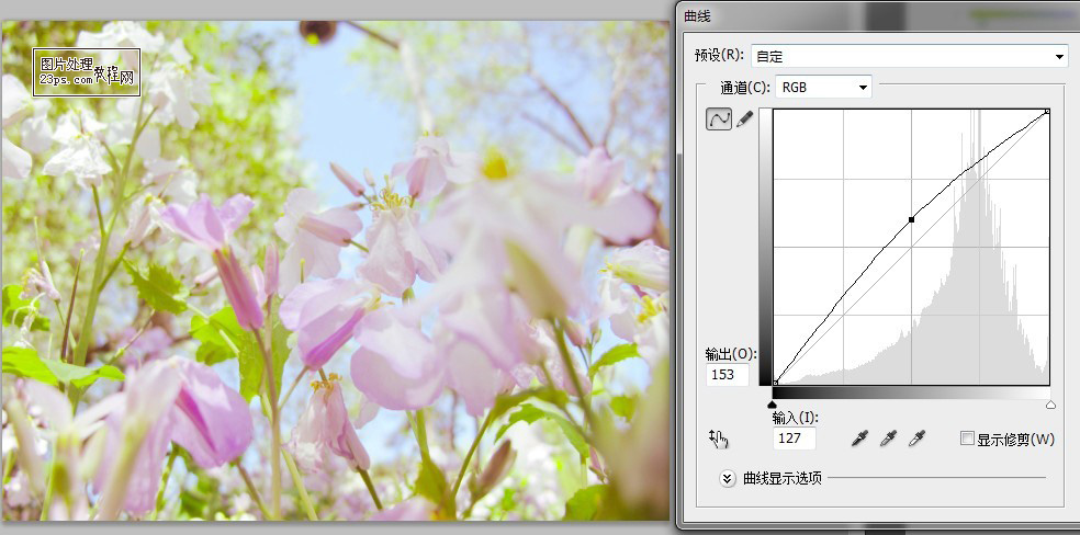 外景花朵清新淡雅的日系色调效果PS后期调色教程5
