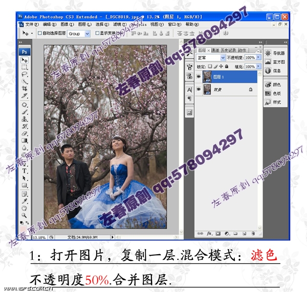 PhotoShop给桃花下的婚纱照调色教程3