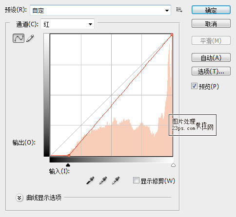 PhotoShop调整清新荷塘婚纱照教程3