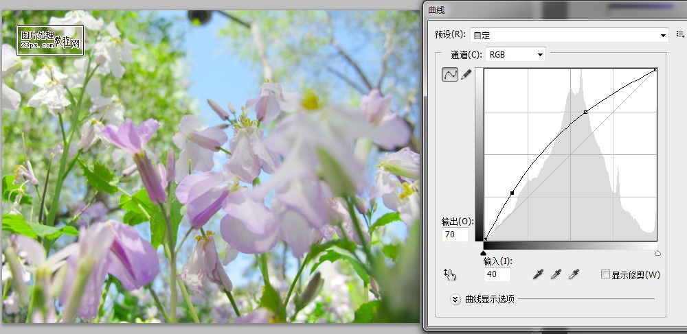 外景花朵清新淡雅的日系色调效果PS后期调色教程3