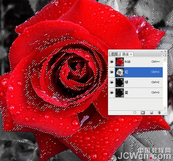 Photoshop把红色玫瑰变成金色玫瑰 PS调色教程7
