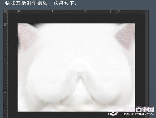 photoshop鼠绘神态憨厚的小白猫头像13