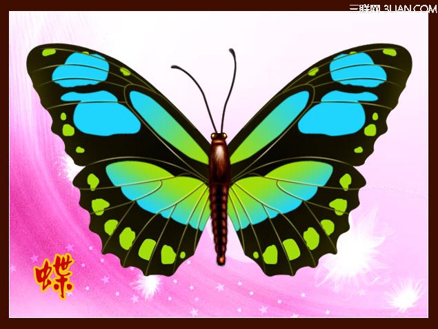 用ps鼠绘漂亮的蝴蝶教程11