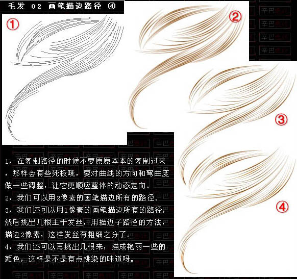 PS手绘利用画笔和路径制作飘逸自然的发丝5