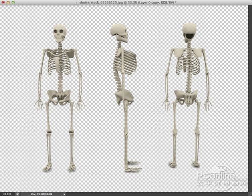 PhotoShop制作奇特X光片骨骼特效文字教程4