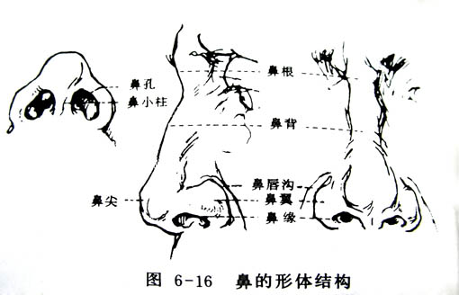 Photoshop鼠绘漂亮的金发美女模特15