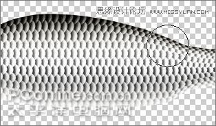 Photoshop鼠绘逼真的鲤鱼详细教程10