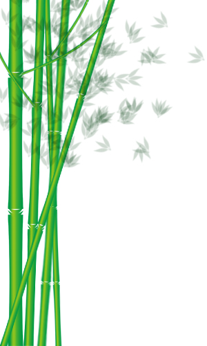 PhotoShop绘制绿色的竹子教程1