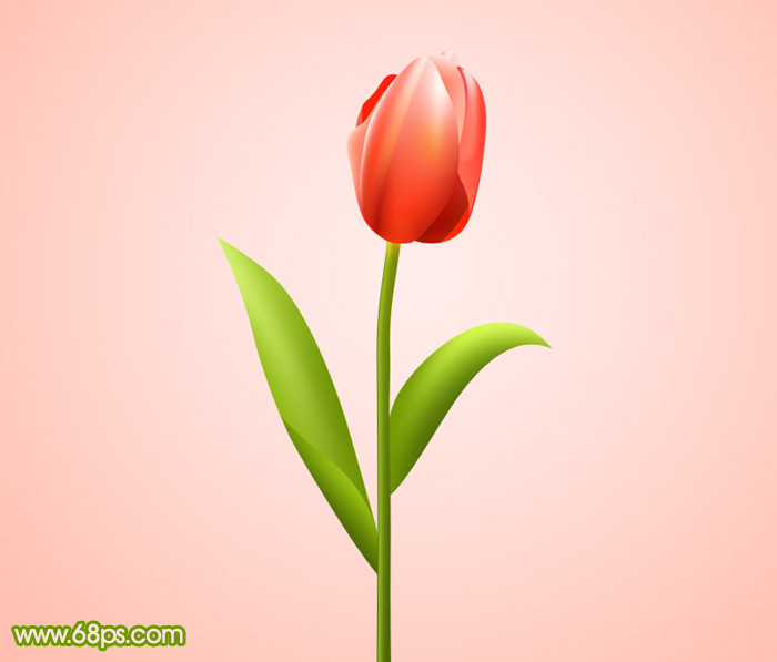 Photoshop绘制一朵含苞欲放的红色郁金香1