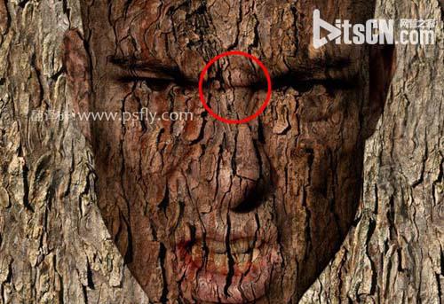 PS合成恐怖效果的树皮人脸效果教程9