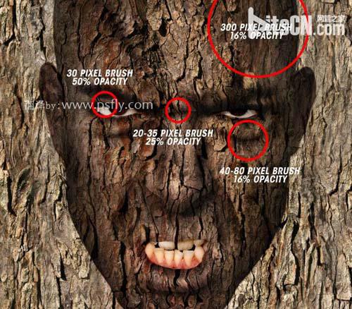 PS合成恐怖效果的树皮人脸效果教程22