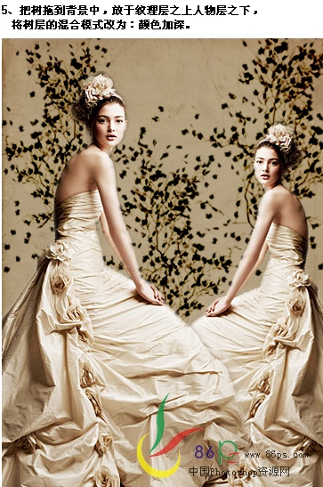 Photoshop婚纱照片合成：个性化装饰10