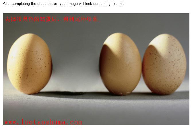PhotoShop打造透明形态的鸡蛋创意合成教程4