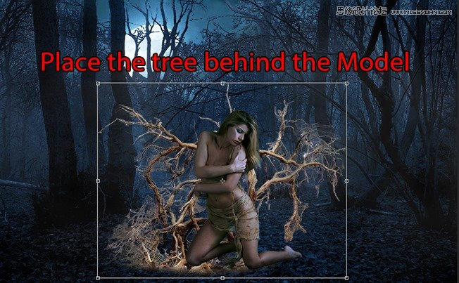 Photoshop合成森林中北树妖围困的仙子38