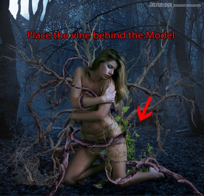 Photoshop合成森林中北树妖围困的仙子60