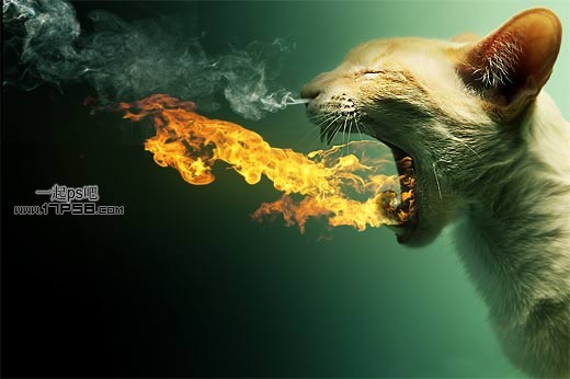 PhotoShop合成嘴里喷火焰的猫咪特效教程1