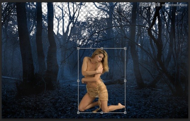 Photoshop合成森林中北树妖围困的仙子20