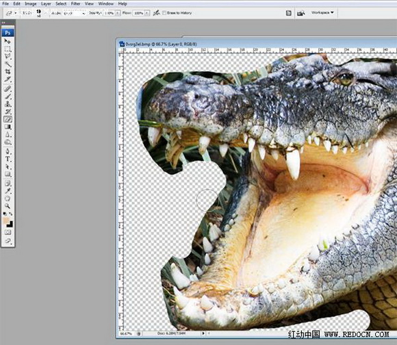 Photoshop合成的长着鳄鱼头的青蛙5