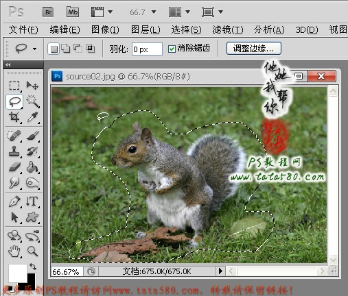 Photoshop合成两只松鼠拿着花朵6